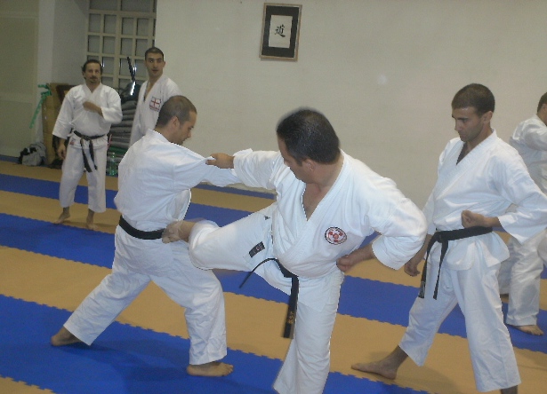 Karate 005c.jpg